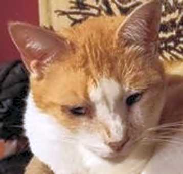 Photo of Dilly