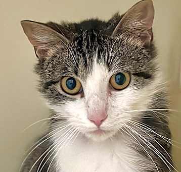 Photo of Junior