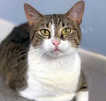Photo of Tabulous