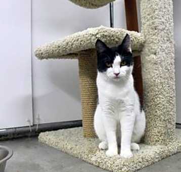 Photo of Katoro