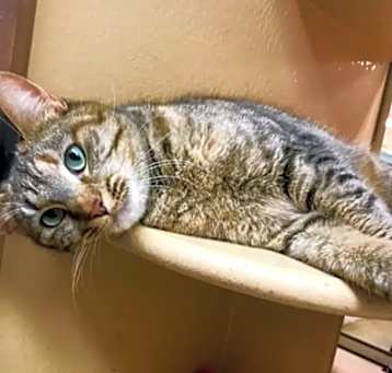 Photo of Missy Mama