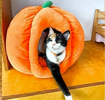 Photo of Audra