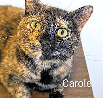 Photo of Carole