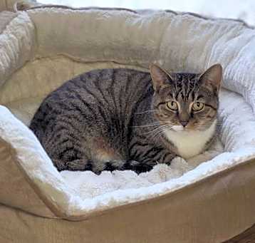 Photo of B.B.