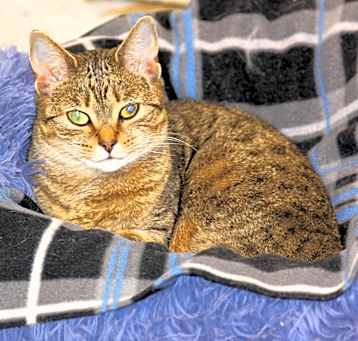 Photo of Libby