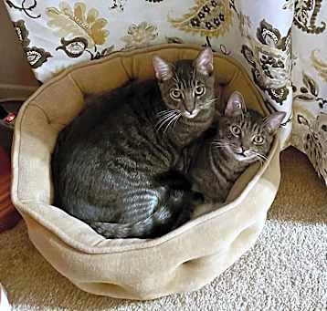 Photo of Tom and Toby