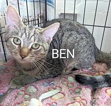 Photo of Ben