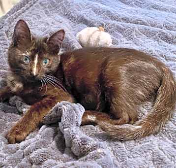 Photo of Louise aka Weezy