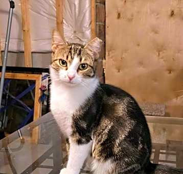 Photo of Crystal