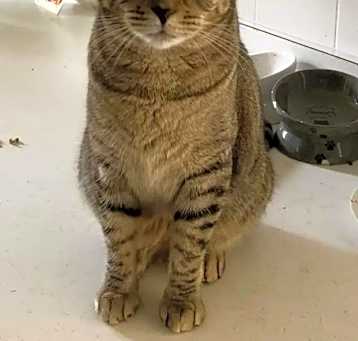 Photo of Freyja