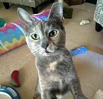 Photo of Sasha