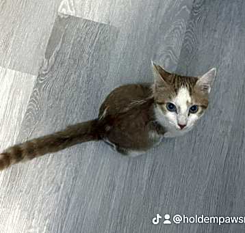 Photo of Caleb