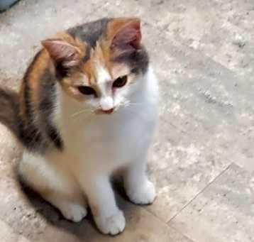 Photo of SPRINKLES