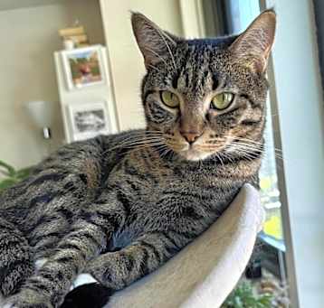 Photo of Luna