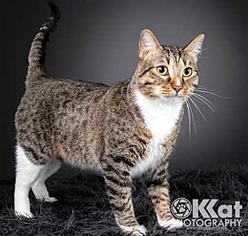 Photo of Larry