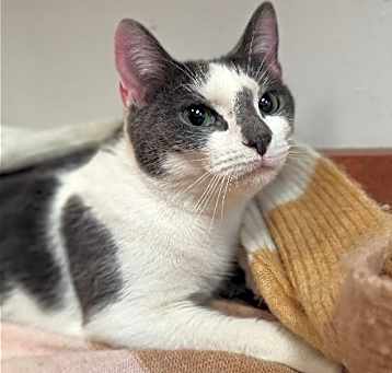 Photo of Queenie