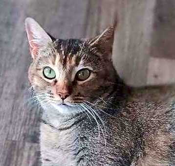 Photo of Luna [CP]