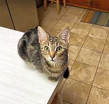 Photo of PeeWee