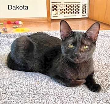 Photo of Dakota