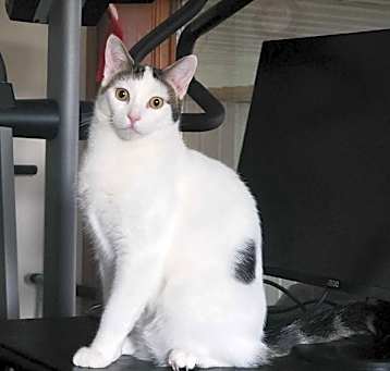 Photo of Sid