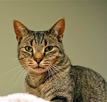 Photo of Sleek