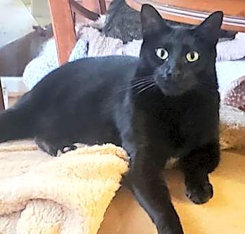 Photo of Milo