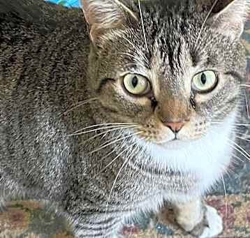 Photo of Binx