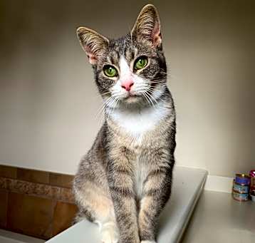 Photo of Avery