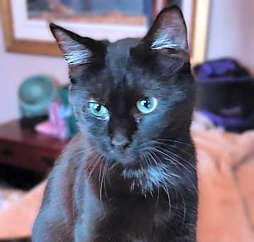 Photo of Archer