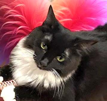 Photo of Rosie