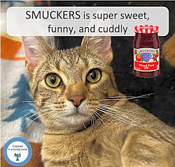 Photo of Smuckers