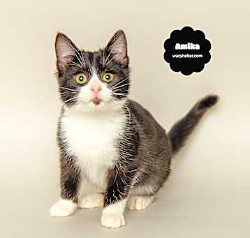 Photo of AMIKA