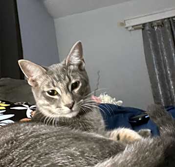 Photo of Banx