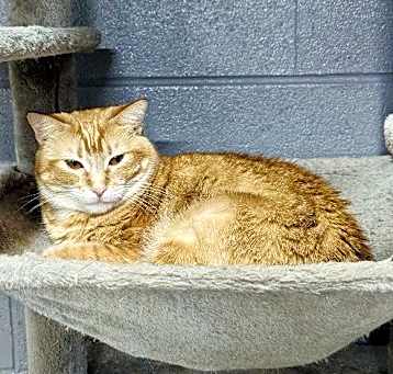 Photo of TIGGER