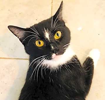 Photo of Luna
