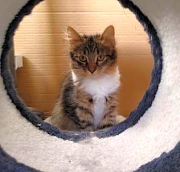 Photo of Skye- (carol)