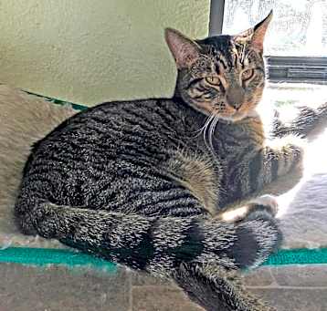 Photo of Mr. Little