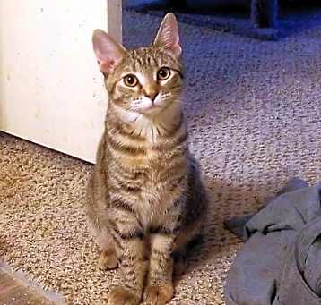 Photo of Georgie