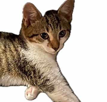 Photo of Leonard