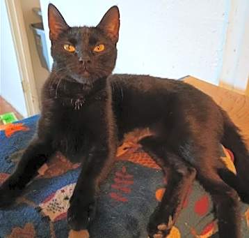 Photo of Little Miss