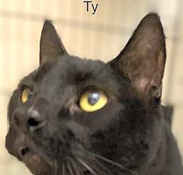 Photo of Ty - Center