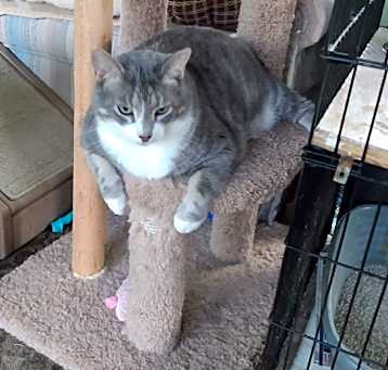 Photo of Louie