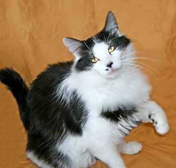 Photo of Tallulah