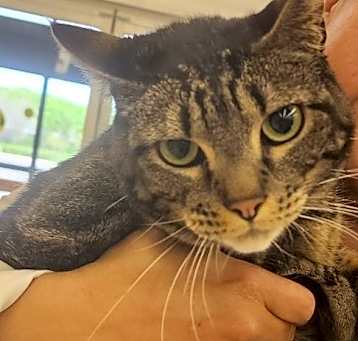 Photo of Bingo
