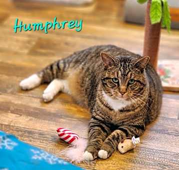 Photo of Humphrey