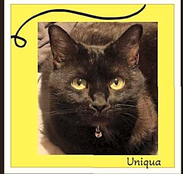 Photo of Uniqua My Dad Passed