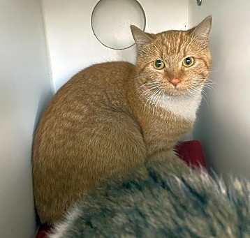 Photo of Debbie