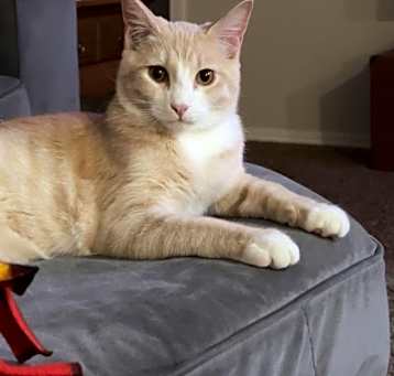 Photo of Milo
