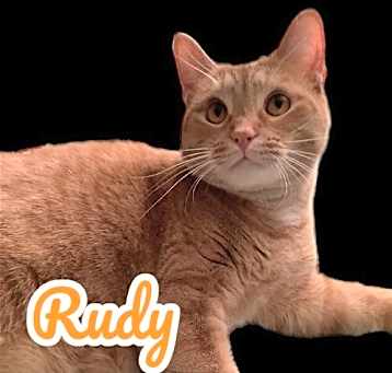Photo of Rudy
