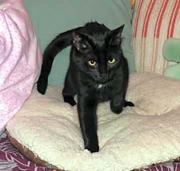 Photo of Mavis 2